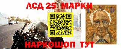 гидра Заводоуковск