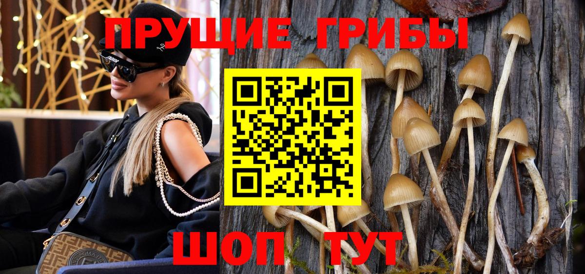 Псилоцибиновые грибы MAGIC MUSHROOMS  Галлюциногенные грибы MAGIC MUSHROOMS  Луга  Вход с VPN 