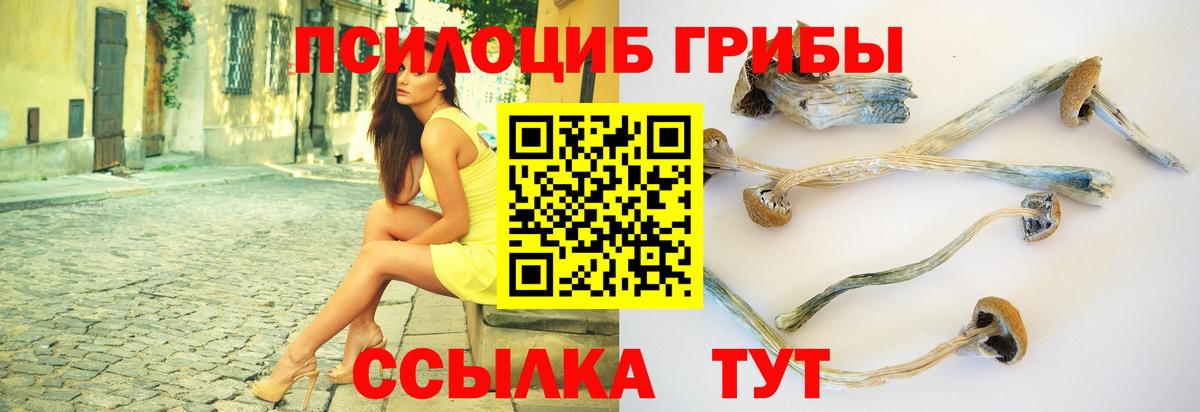 Псилоцибиновые грибы MAGIC MUSHROOMS Луга